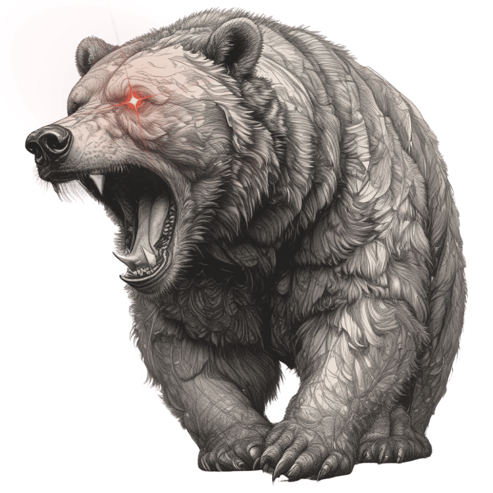 Bear Graphic